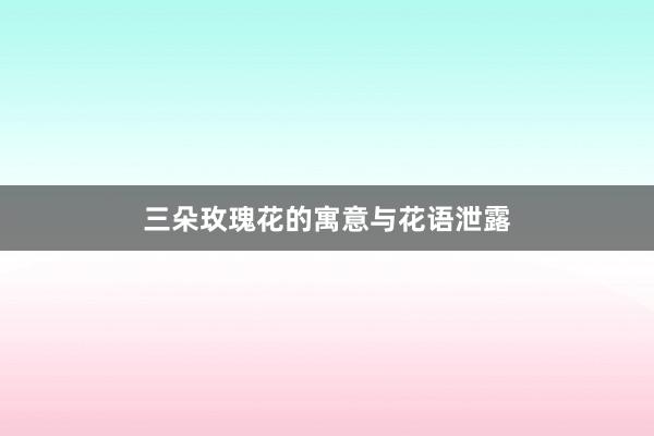 三朵玫瑰花的寓意与花语泄露