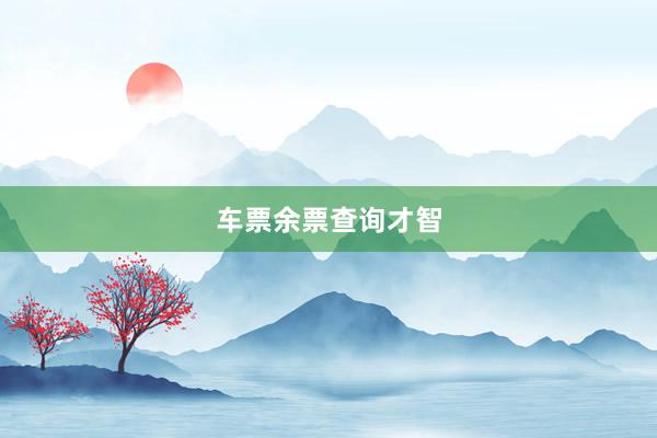 车票余票查询才智