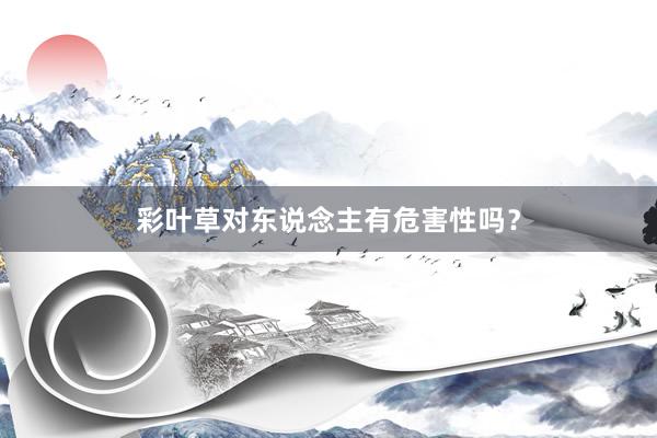 彩叶草对东说念主有危害性吗？