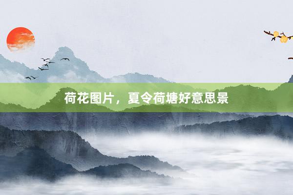 荷花图片，夏令荷塘好意思景