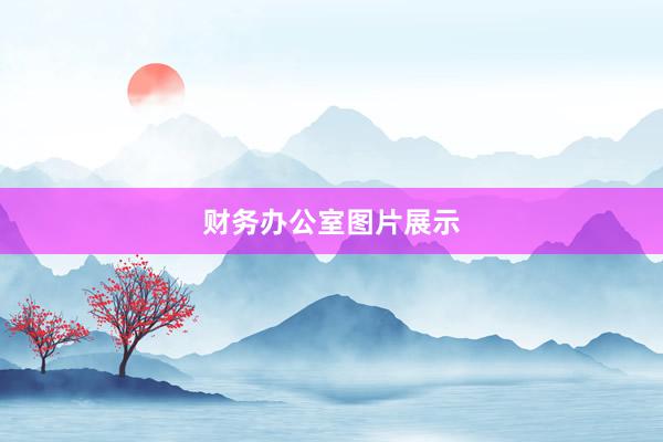 财务办公室图片展示