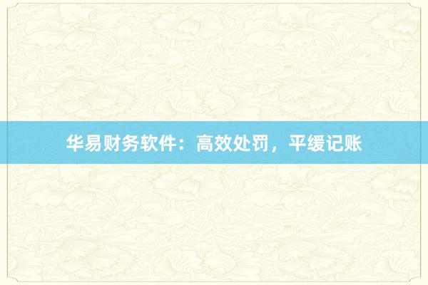 华易财务软件：高效处罚，平缓记账